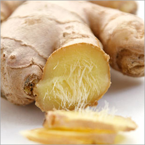 Ginger