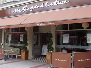 Commercial Terrace Awnings