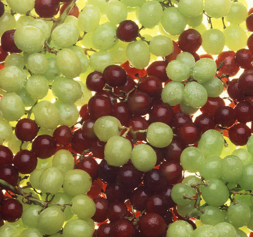 Grapes Storage Facilites