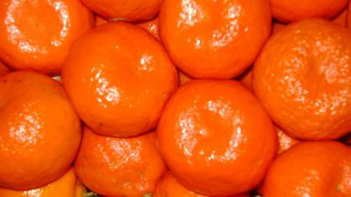 Orange Storage Facilites