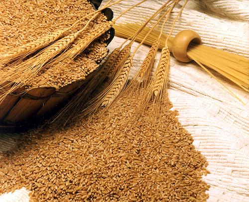 Wheat Storage Facilities