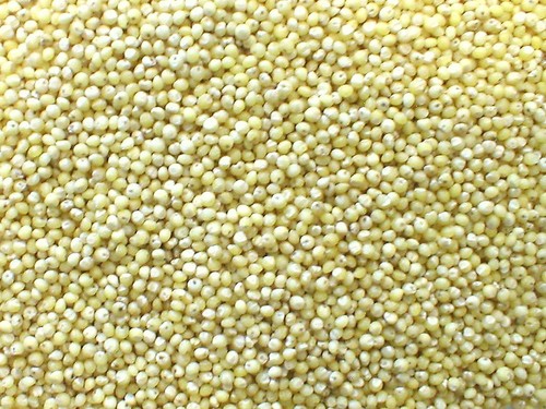 Milllet Storage Facilities