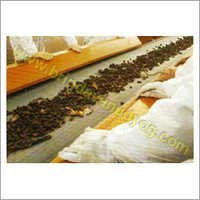 Heat Resistant Belts