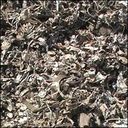 Steel Scrap