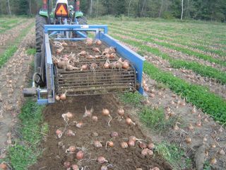 Potato Digger