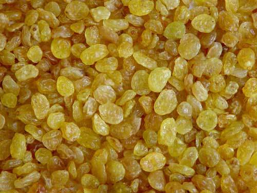 Kismis Storage Facilities