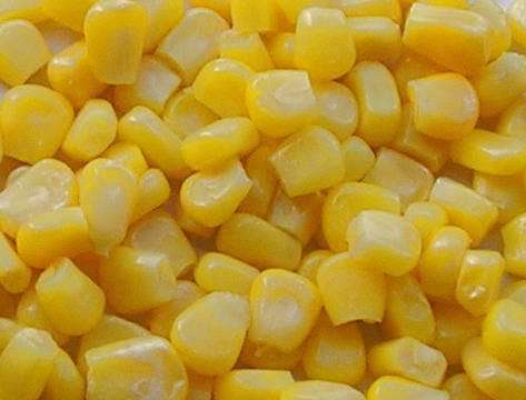 Frozen Sweet Corn