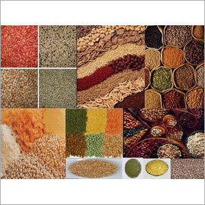 Indian Pulses