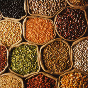 Food Grains