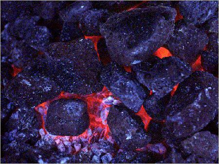 Steam-Coal