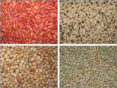 Pulses