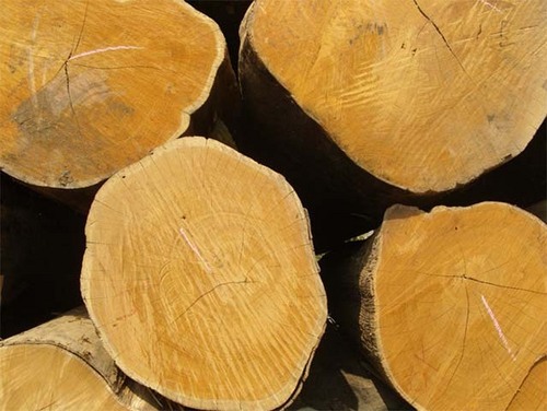 Malaysian Timber
