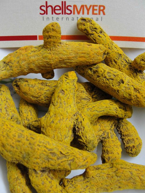 Turmeric Fingers