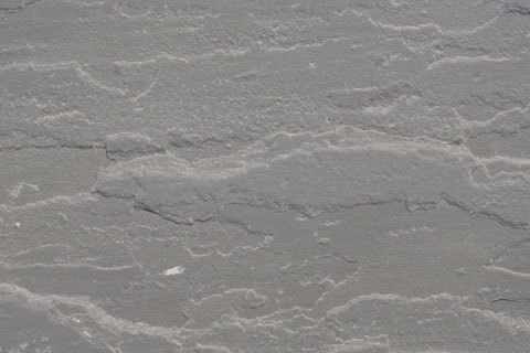 Kandla Grey Sandstone
