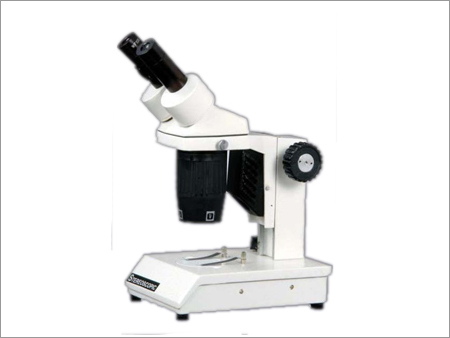 Stereo Microscope
