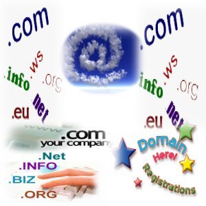 Domain Hosting