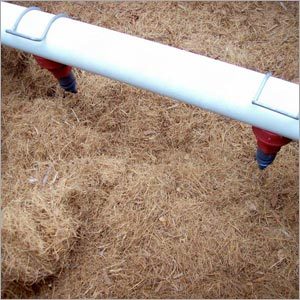 Coir