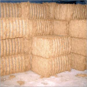 Coir Pith