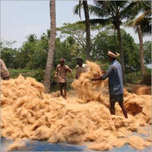 Natural Coir Fibres