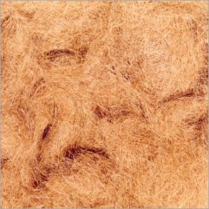 Coconut Coir Fibres