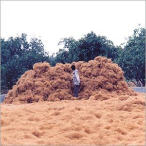 Coir Fibres