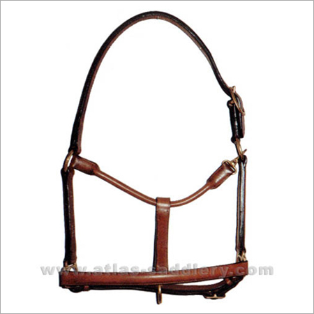 PP Halters