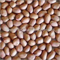 Groundnut Kernels - Common Cultivation Style, Fresh Quality | Rich Flavor, High Nutritional Value, Long Shelf Life, Delicious Taste