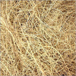 कॉयर फाइबर