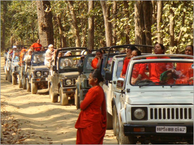 Jungle Safari & Wild Life
