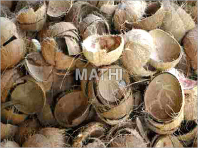 Coconut Shell
