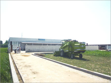 Seed Farm