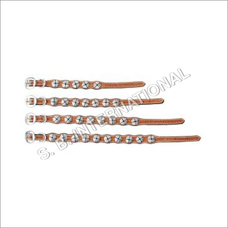 Dog Collars