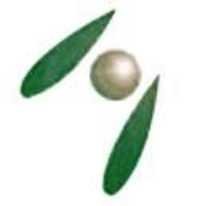 Isomalt(cas No.64519-82-0),e953 ,isomaltitol