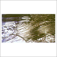 Fused Glass