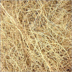 Coir Fibre
