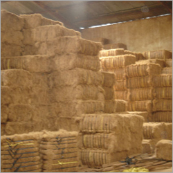 Coco Fibers