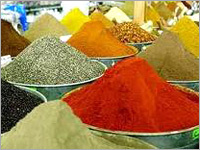 Spices & Seasonings
