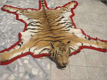 Decorative Items