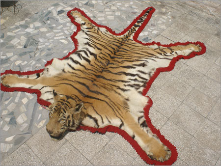 Decorative Items