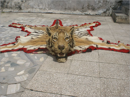Decorative Items