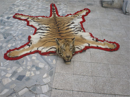 Decorative Items