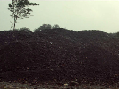 Nagaland Coal