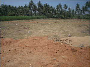 Hot Plot Property Service