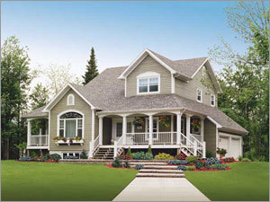 Services Property Dealer