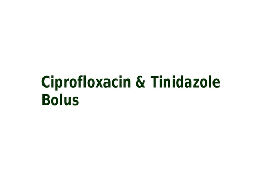 Ciprofloxacin & Tinidazole Bolus