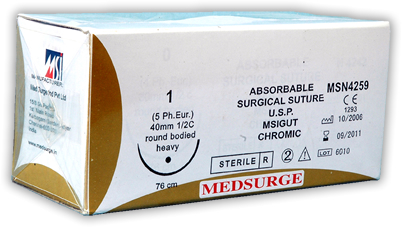 Natural Surgical Suture