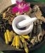 Ayurveda Products