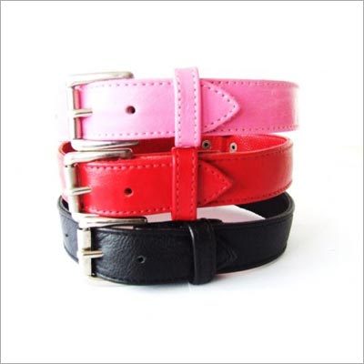Dog Collar
