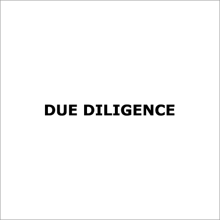 Due Diligence