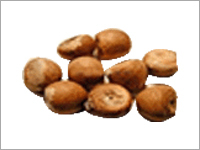 Coconut Shell Products